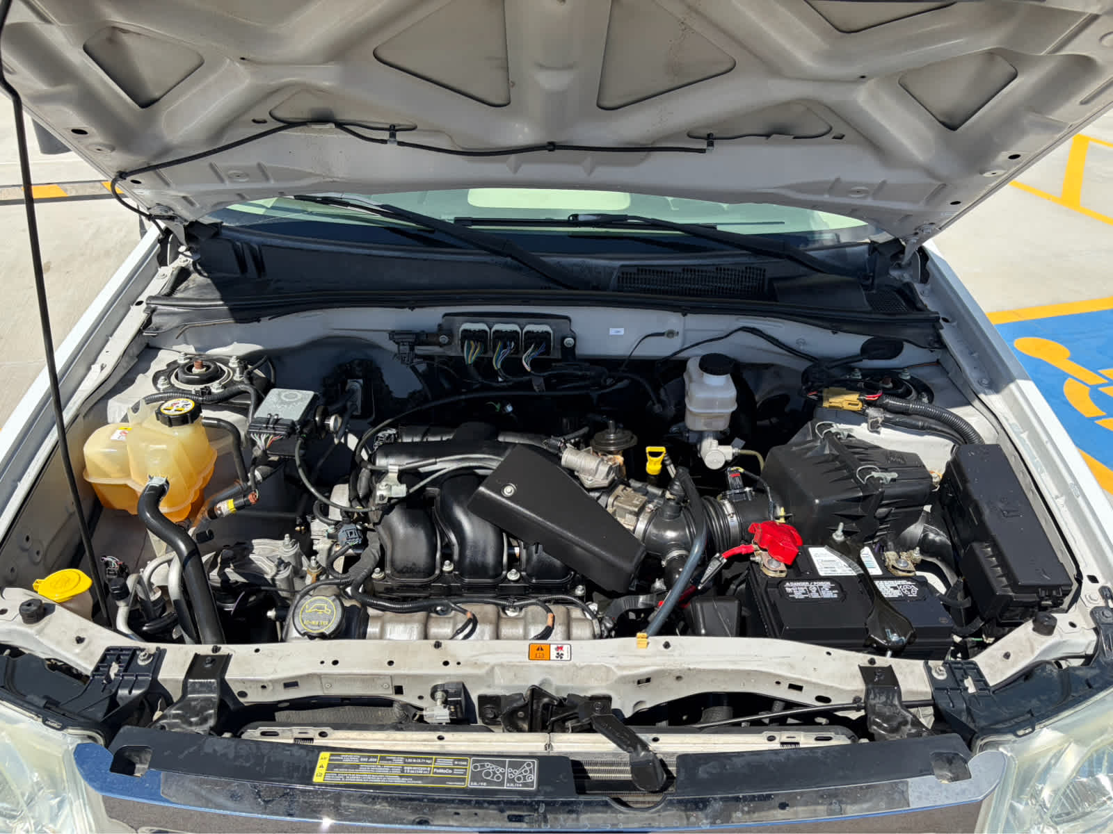 2008 Ford Escape XLT